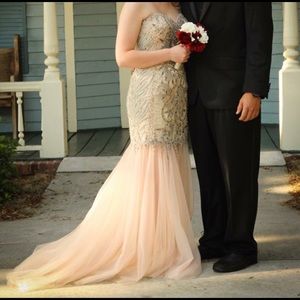 BEAUTIFUL Claudine Prom Dress!
